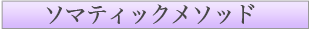 �\�}�e�B�b�N���\�b�h