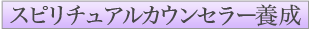 �X�s���`���A���J�E���Z���[�{���N���X